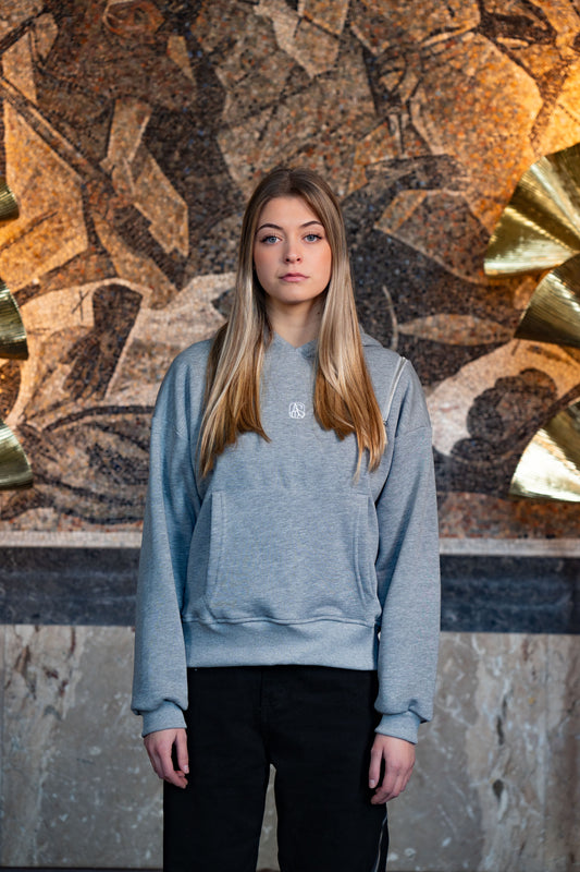 ASMA SILVER GREY HOODIE