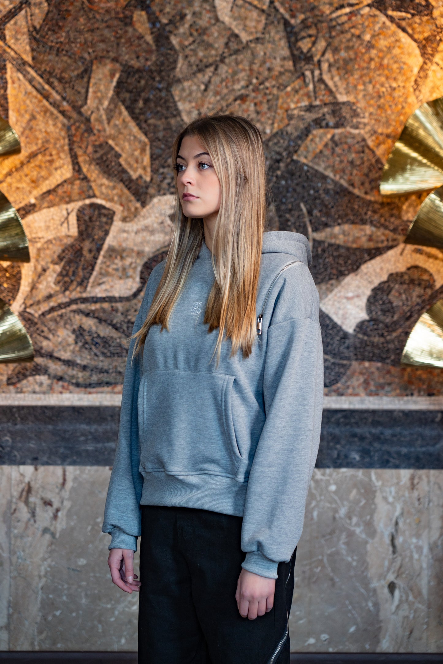 ASMA SILVER GREY HOODIE